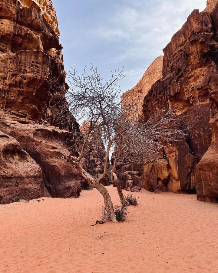 Hotel Golden Day à Wadi Rum Extérieur photo