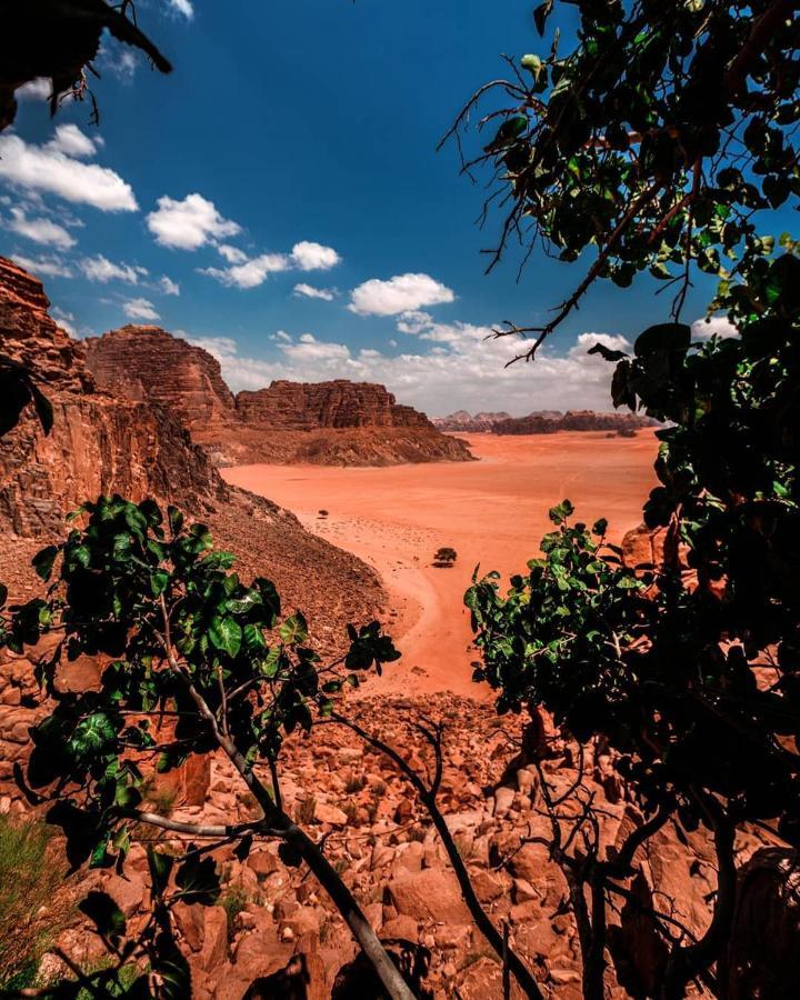 Hotel Golden Day à Wadi Rum Extérieur photo