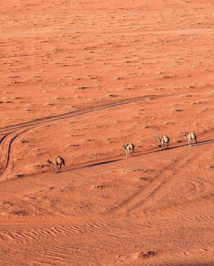 Hotel Golden Day à Wadi Rum Extérieur photo